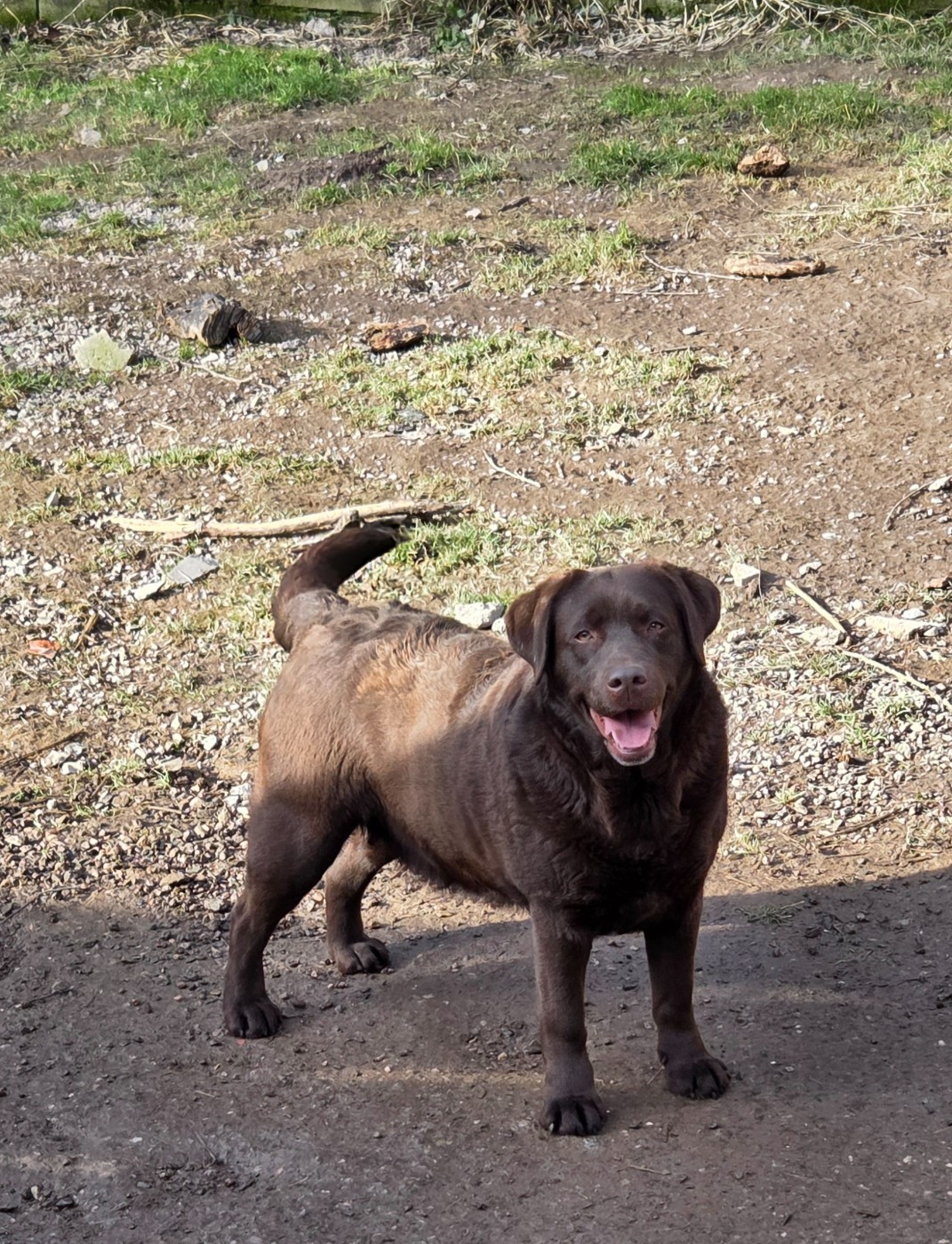 Stars in the head Du Gardien Des Aulnois