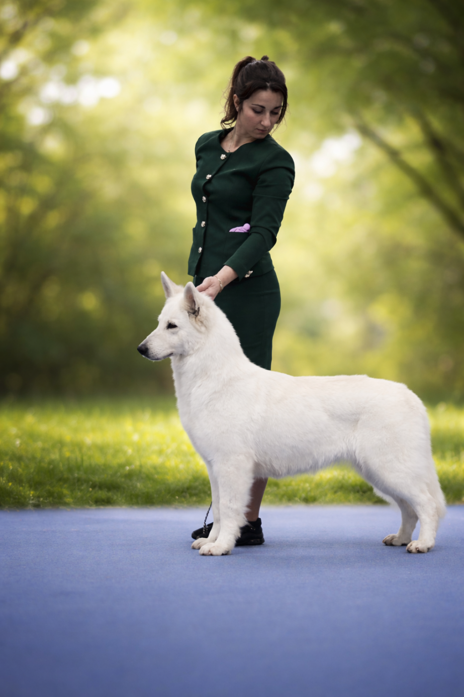 CH. Talitha koumi of the white company