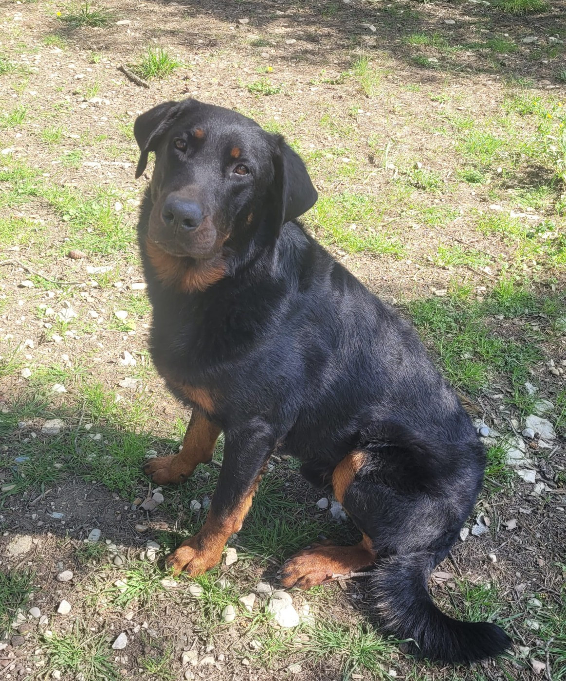 Publication : Des Gardiens D'anaflore