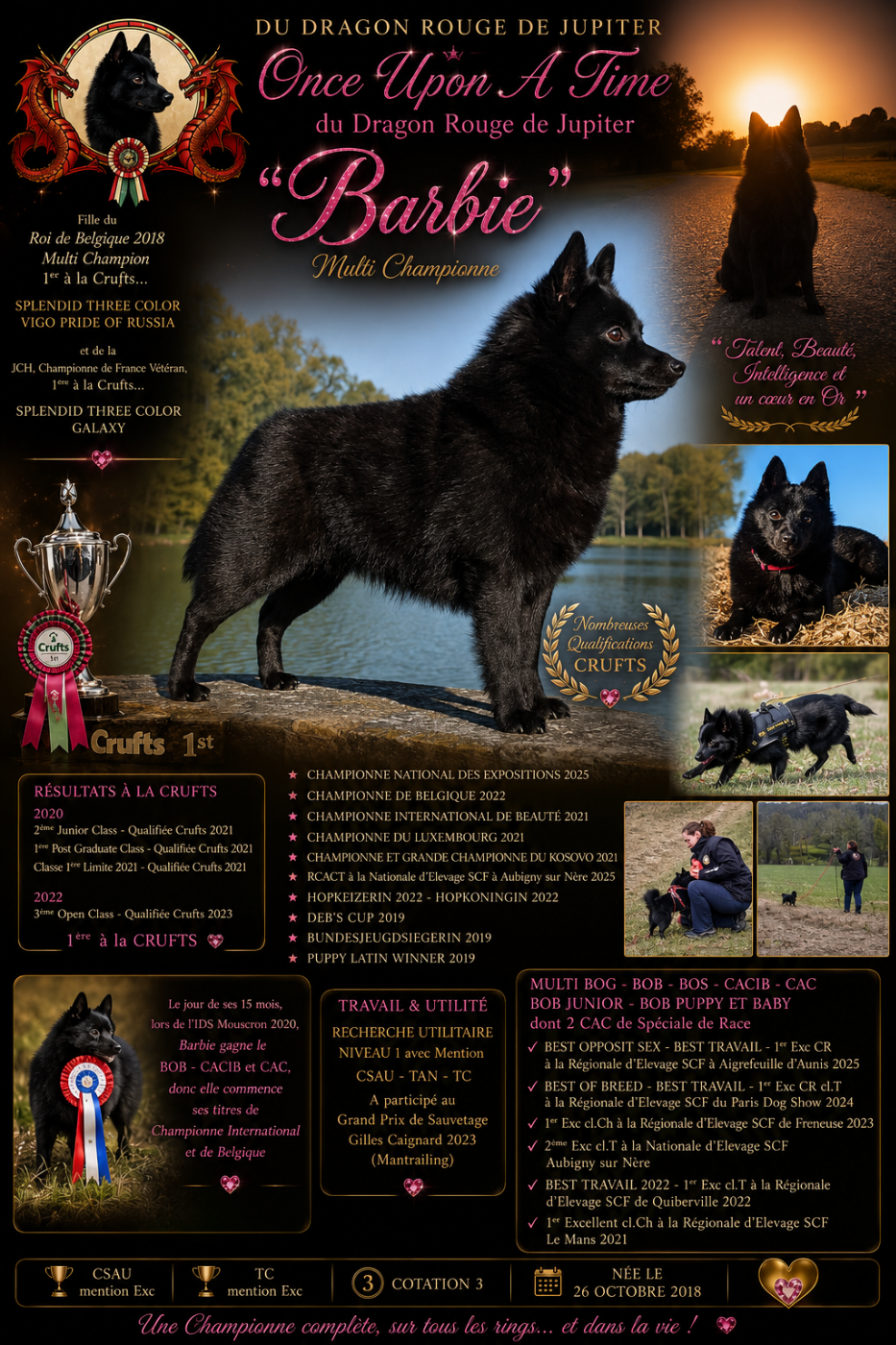 Publication : du dragon rouge de jupiter Auteur : 5 ans 1/2