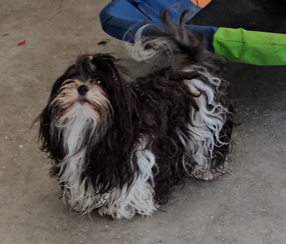 Publication : de la vallée du rêve Auteur : Mirkes Mylène