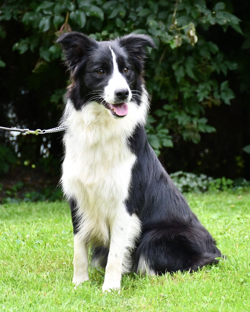 Toscane perfect label Of Pacific Spirit