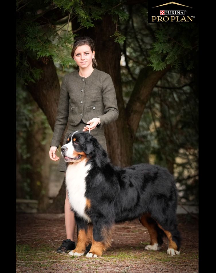 Publication : D'Ainhoa Auteur : Bonnenfant Yann