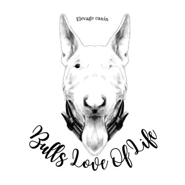 Publication : Des Bulls Love Of Life 