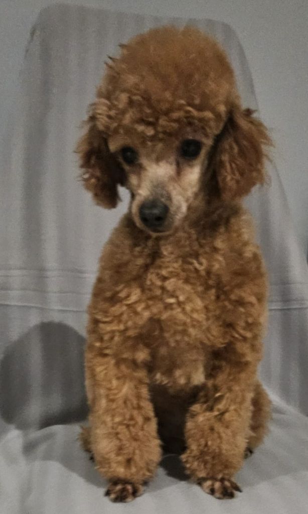 Publication : Du Domaine De La Vallée Heureuse