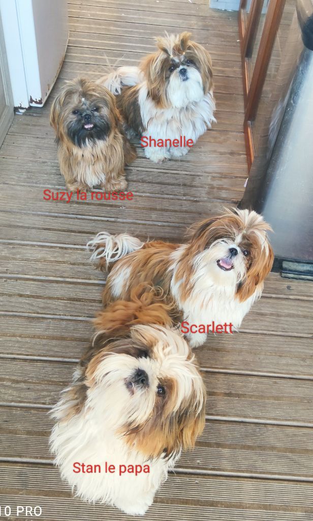 Publication : Des P'tits Bouts D'amour Auteur : Giraud