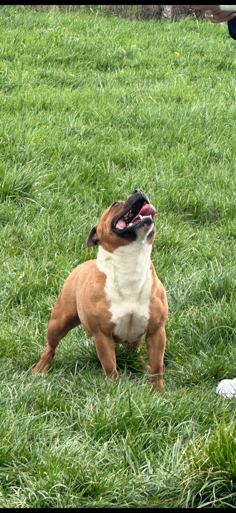 Publication : Du Domaine De Canja 