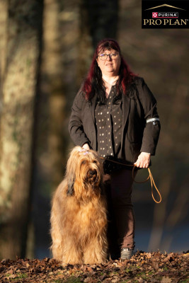 Étalon Berger de Brie - CH. Victory of the Teasing Stars
