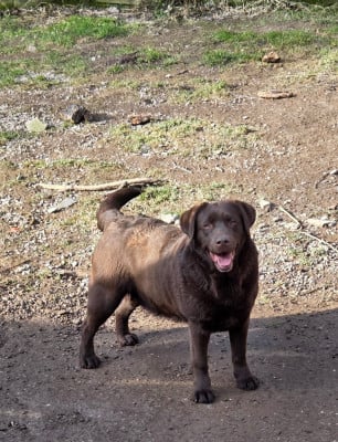 image de Stars in the head