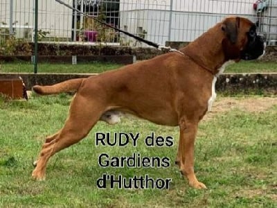 Rudy Des Gardiens D'Utthor