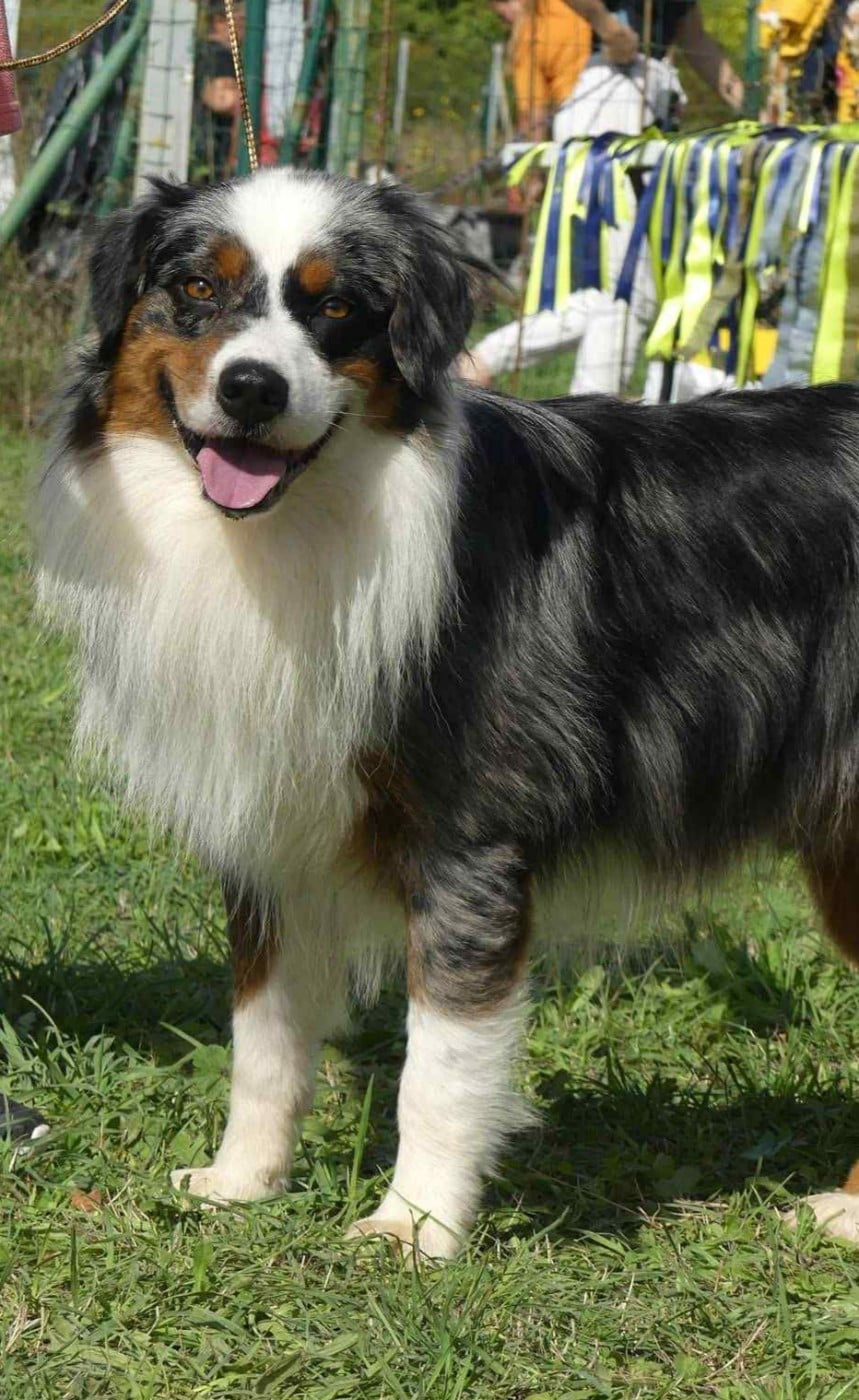 Publication : For The Memory Of Mandy 