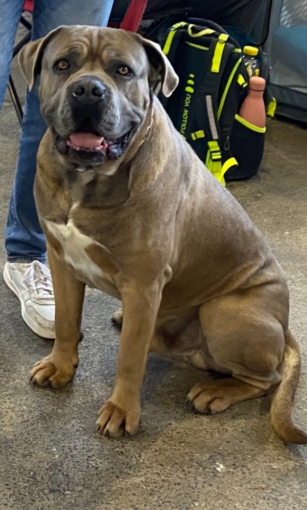 Publication : Yannic Erard Auteur : Yannic Erard