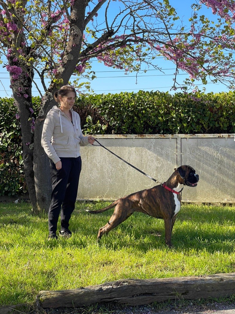 Publication : du Chêne Feuillu