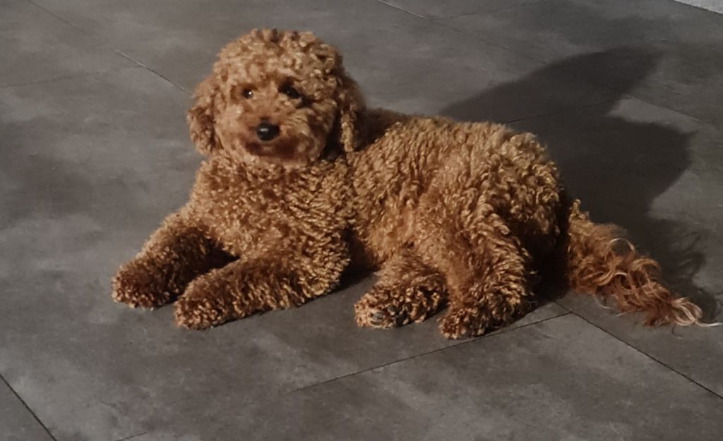 Publication : Du Domaine De La Pruneraie 