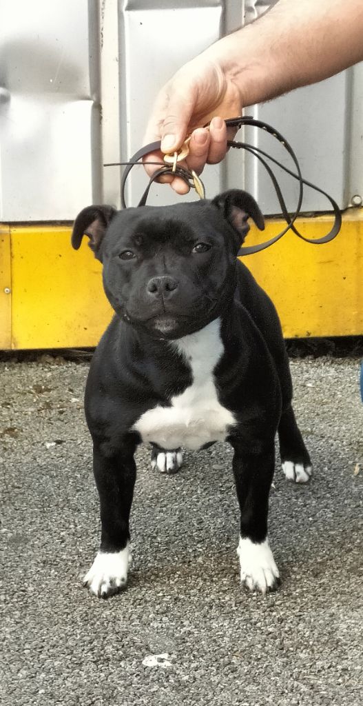 Publication : De L'Empreinte De Minnie