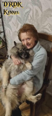 Étalon Spitz allemand - Taki taki rumba (dite taki) Du Royaume Des Khaleesis