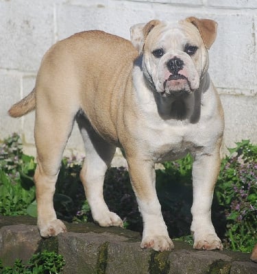 Tess cusse des chemins du bout du monde