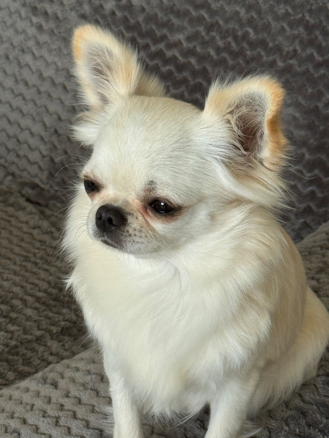 Publication : Des Trésors De Cancun