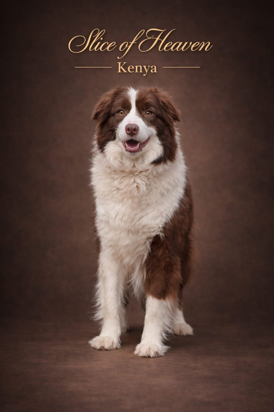 Publication : Slice Of Heaven 