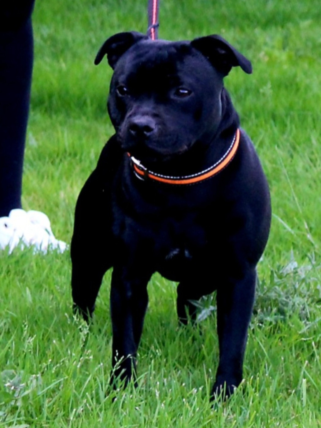 Publication : Du Domaine Des Juraires 