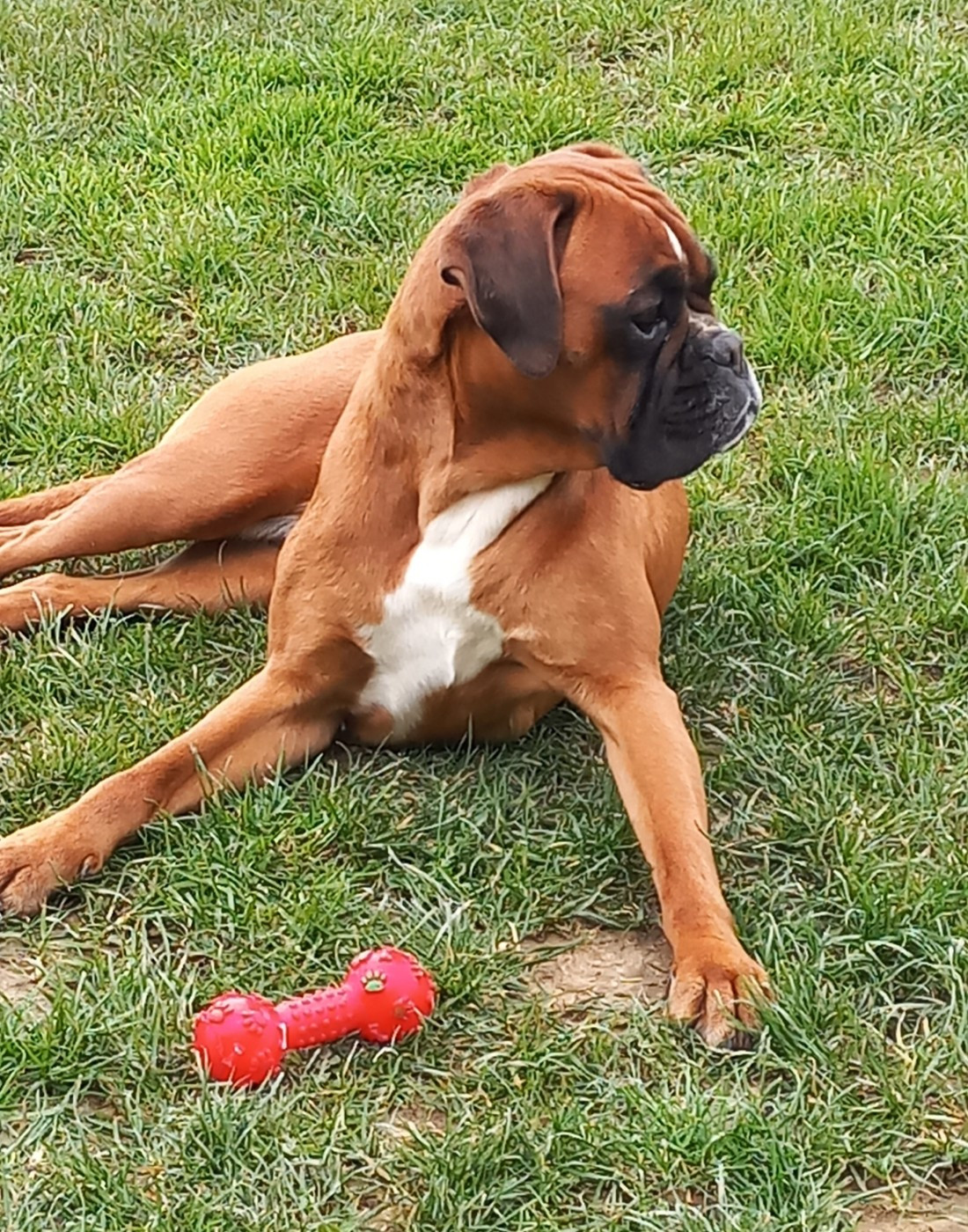 Tania Au Pays Des Joyaux