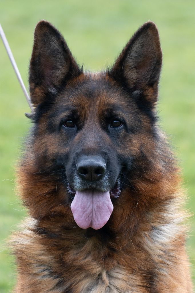 Publication : du Sol Invictus