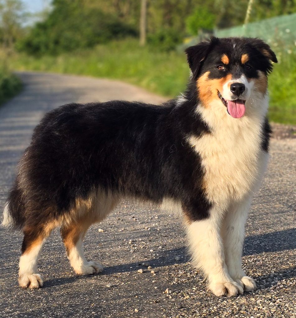 Publication : Des Champs De Beyssac 