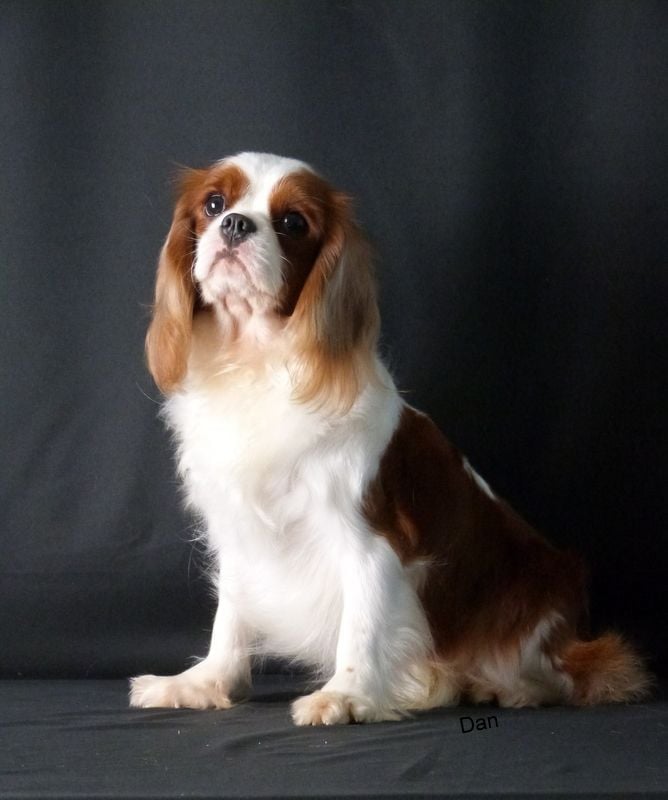 Publication : Du clos de larpege 