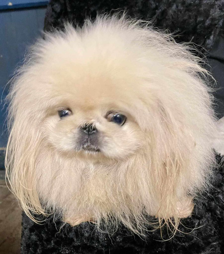 Publication : du jardin de vatsana 