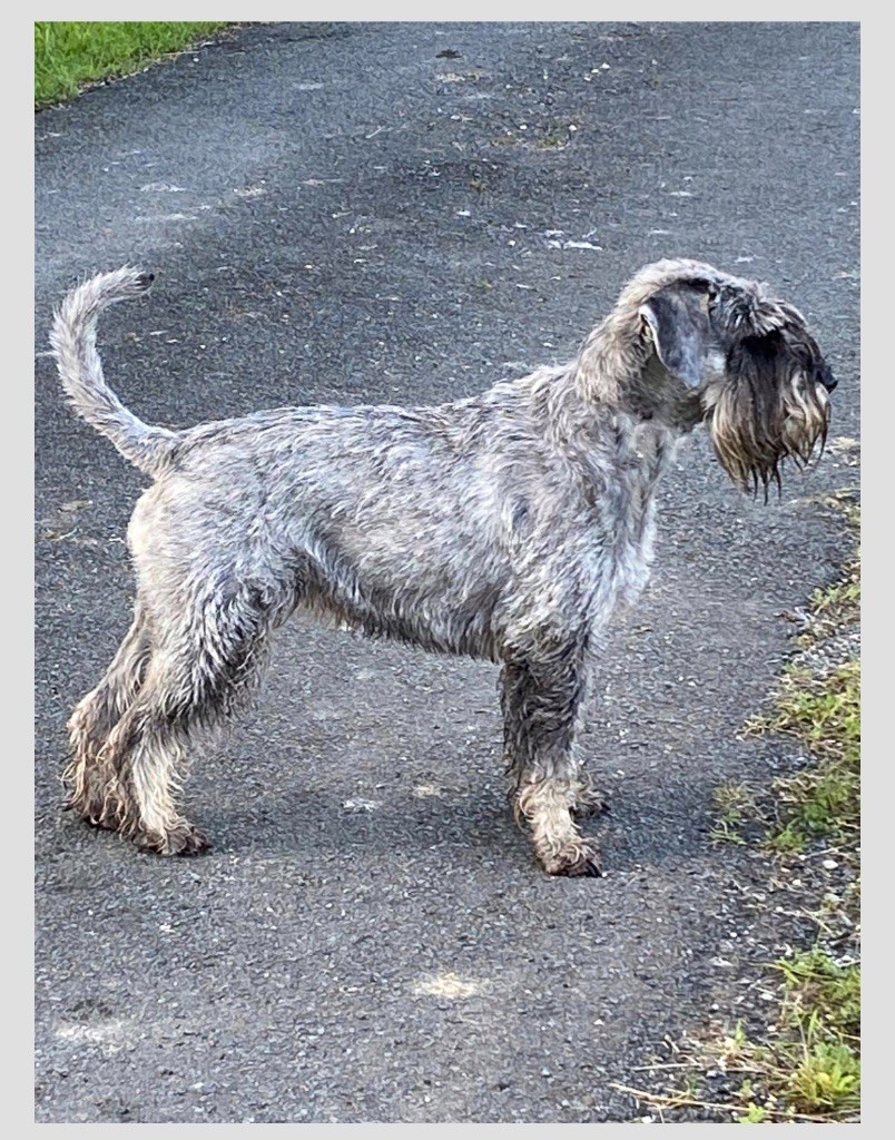 Publication : Des Bavarois Des Champs Elysées