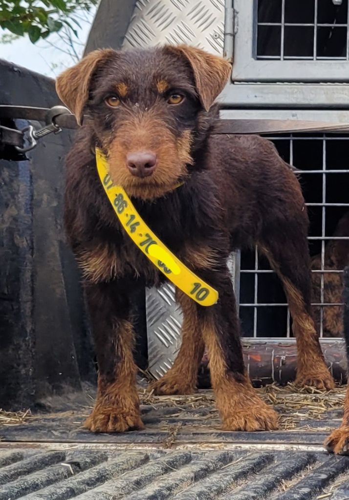 Publication : Des Combes Du Ventoux 