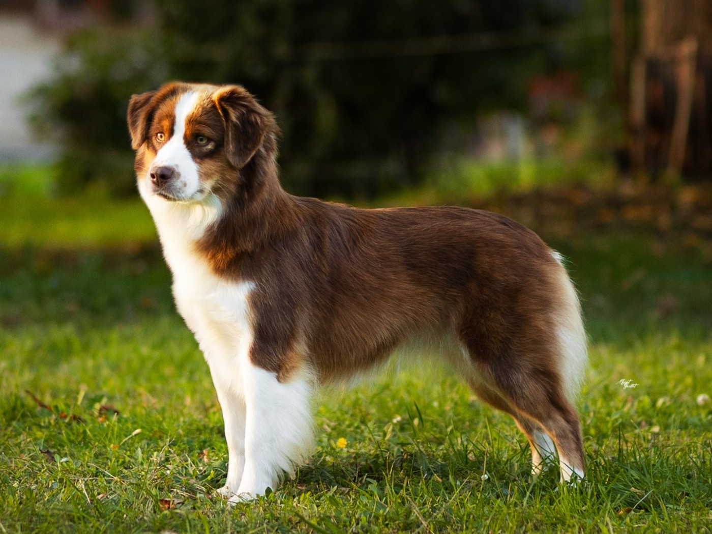 Publication : De La Folle Emprise Auteur : Margot Guillet