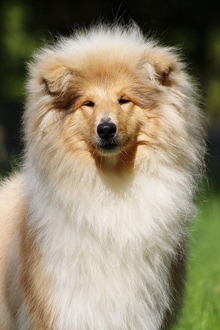 Publication : Du Coeur Des Terres 