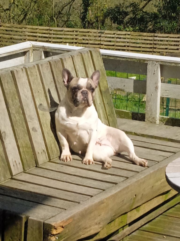 Publication : Da Cidade Invicta 