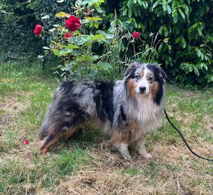 Publication : de la Vallée de Saint Samson