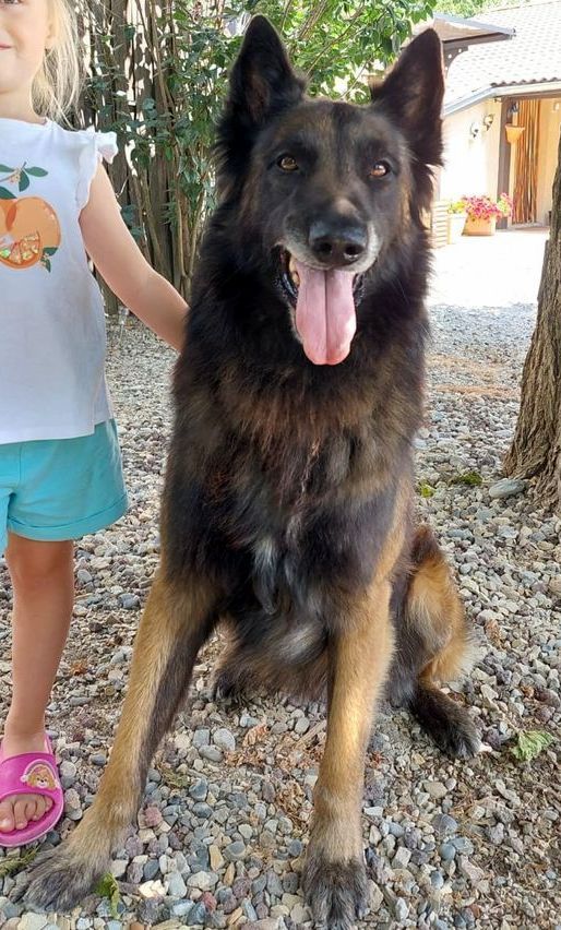 CH. Travail pistage lewis du relais de la diligence