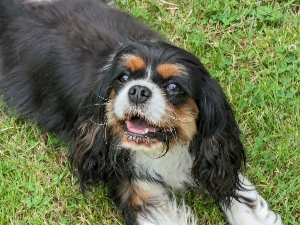Publication : de la Lande du Médoc