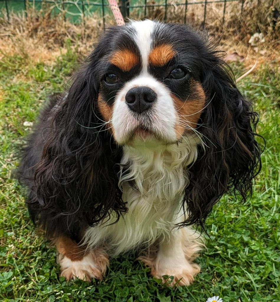 Publication : de la Lande du Médoc