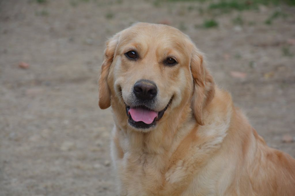 Publication : Angels of Tara