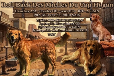 Roll back des Mielles du Cap Hôgan