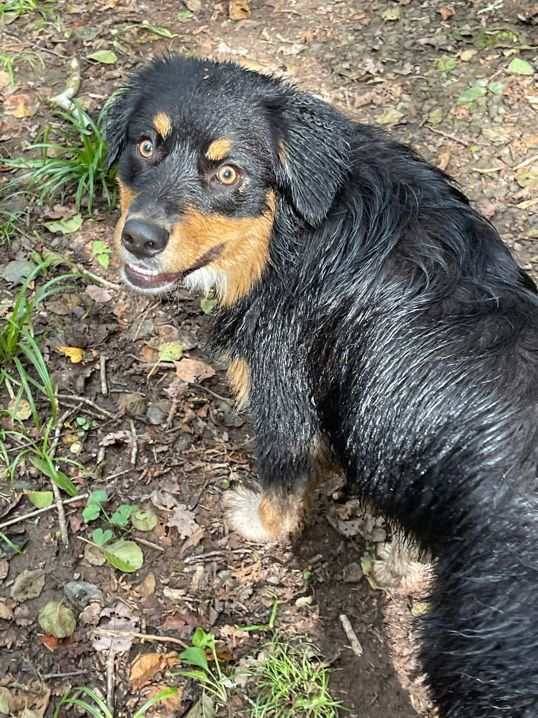 Publication : Western And Co 