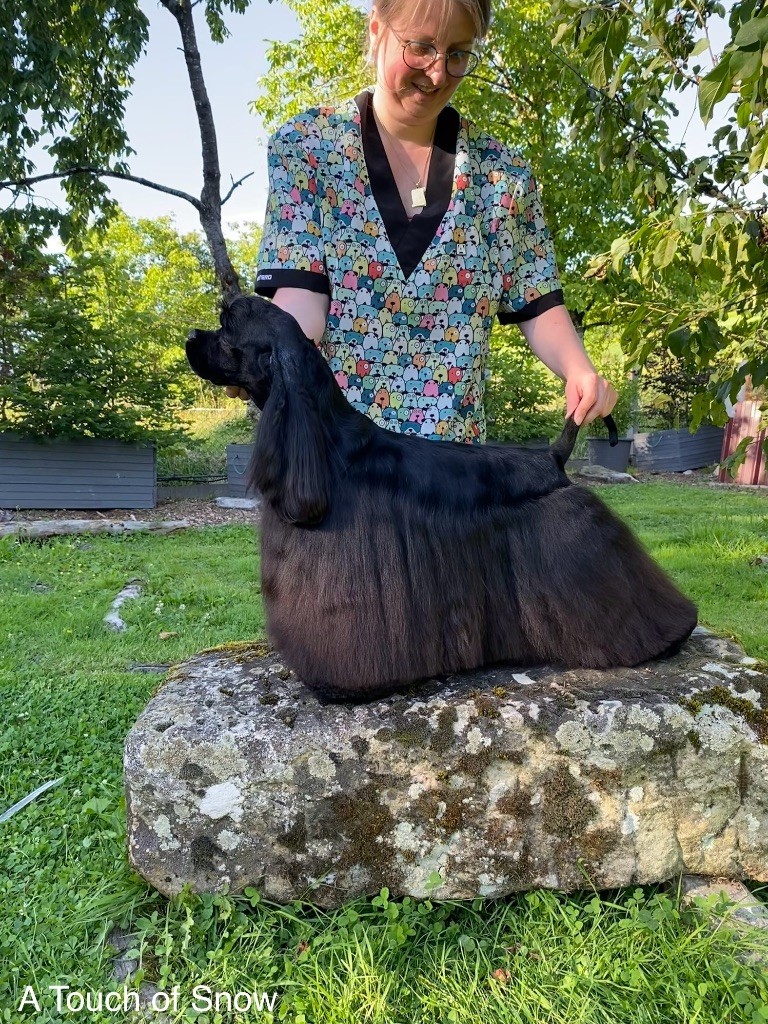 Publication : A touch of snow