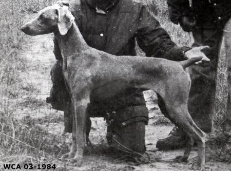 von knopfs Frolicsome freda