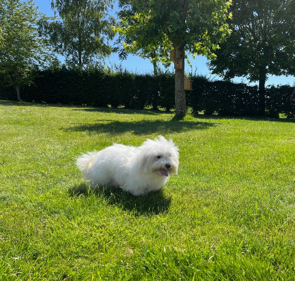 Publication : Des Sentiers du Perche Auteur : MOUSSET Amélie