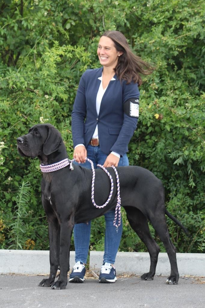 Publication : Des Gardiennes De Reves