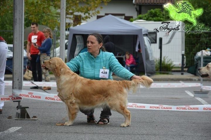 Publication : Angels of Tara