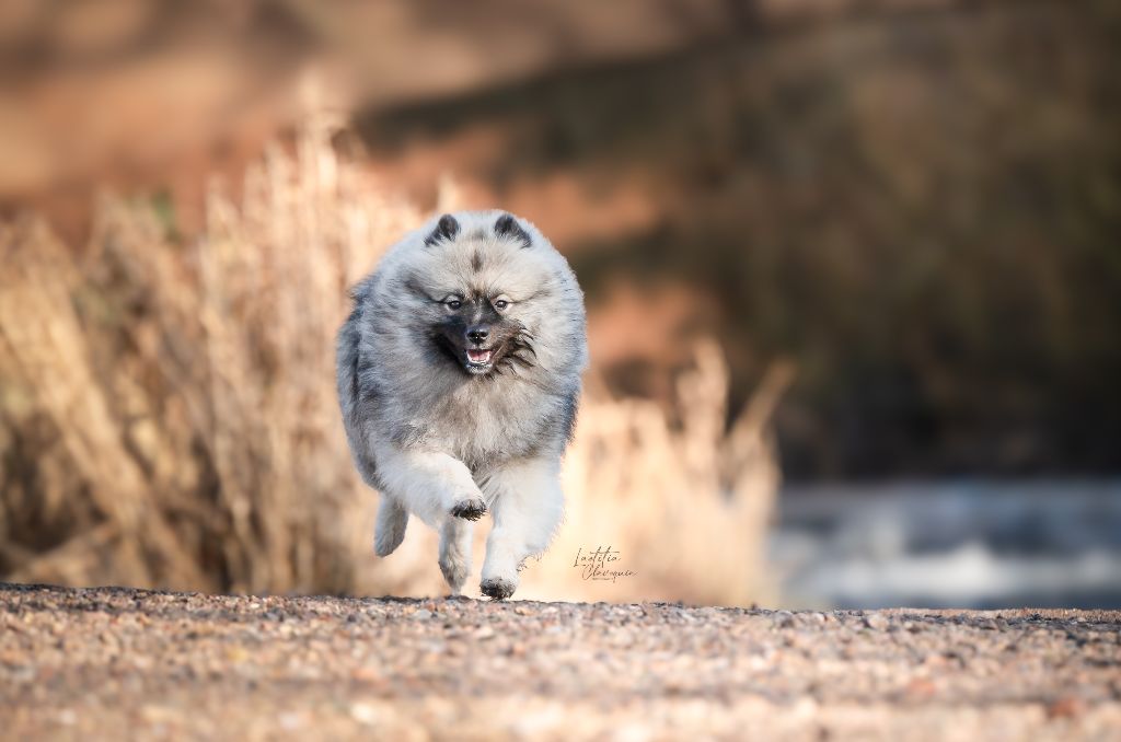 Publication : De La Lumière D'Héméra Auteur : Laetitia Clavequin Photography