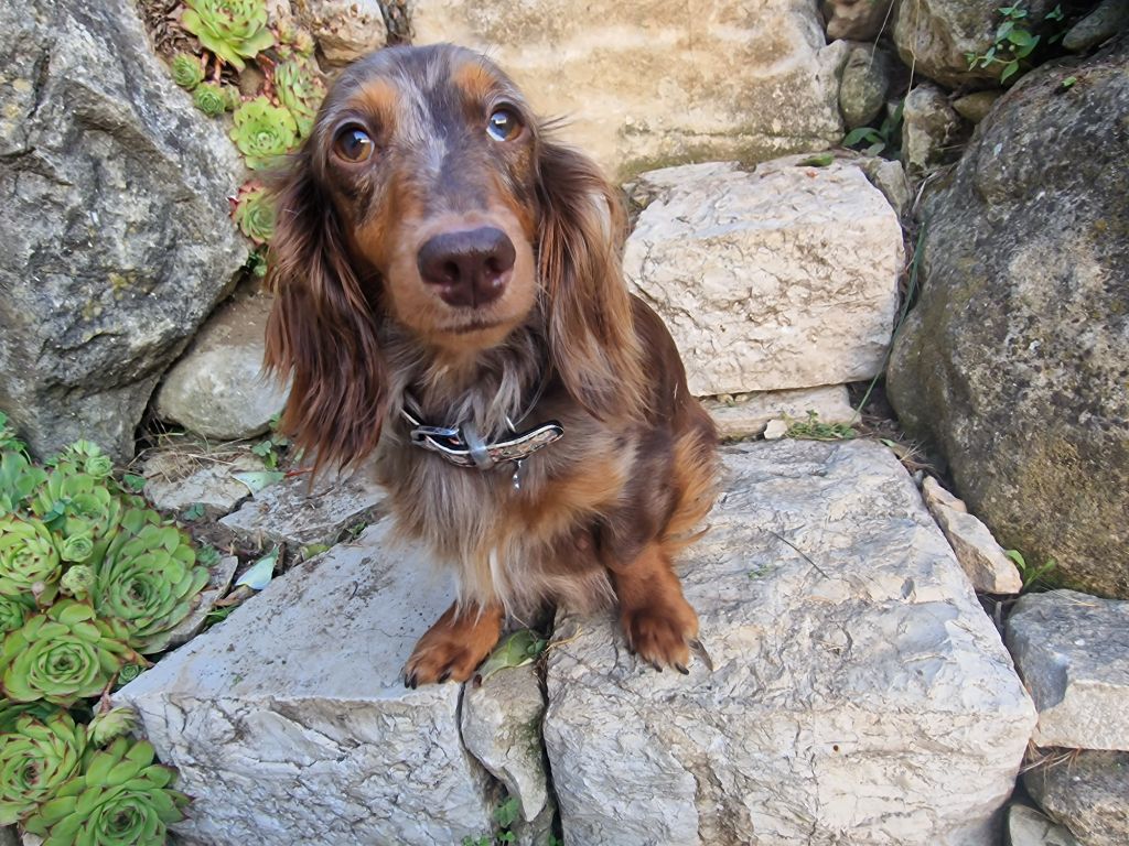 Publication : Des Merveilles De Lérie 