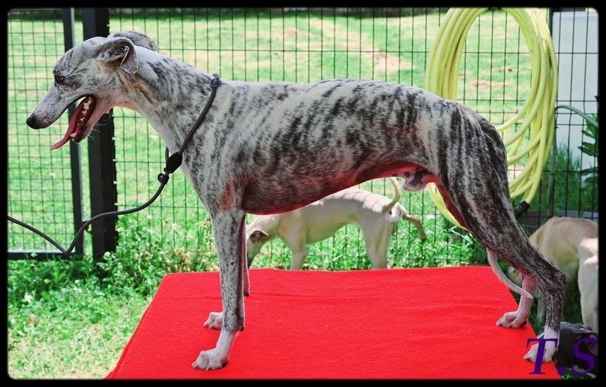 Publication : Une Histoire Sans Fin 