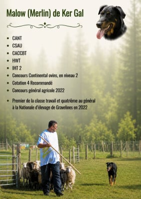 image de Malow